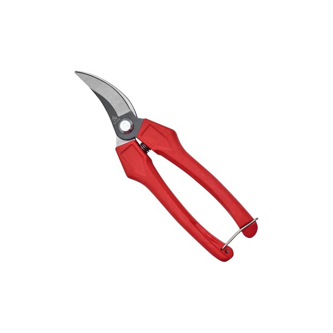 Forbice Cogliuva 18 cm Curva