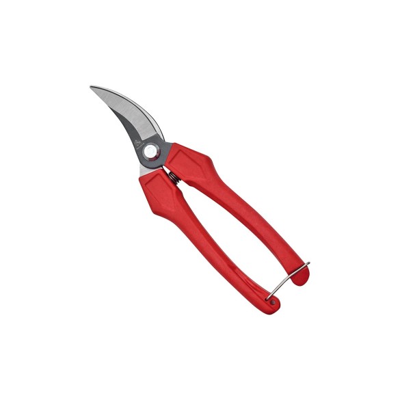 Forbice Cogliuva 18 cm Curva