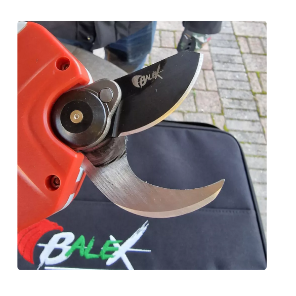 Kit Forbice BXFB 3014 + Potatore Balex BXPR 1410 con valigetta
