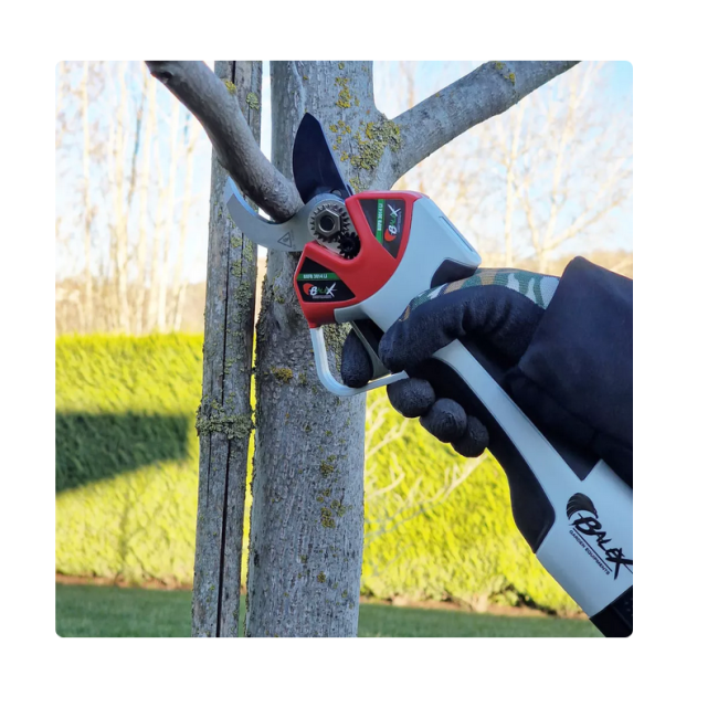 Kit Forbice BXFB 3014 + Potatore...