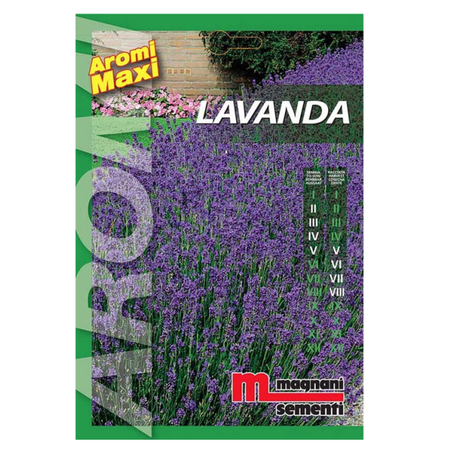 Semi di Lavanda Semeurop