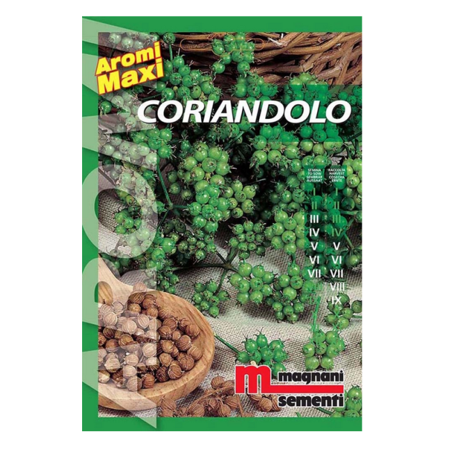 Semi di Coriandolo