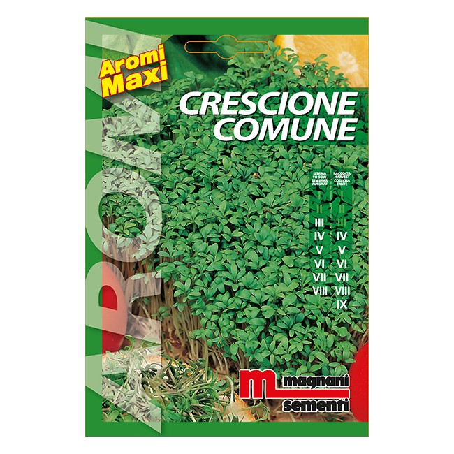 Semi di Crescione Comune
