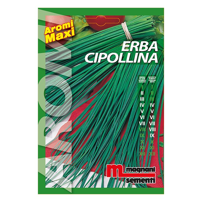 Semi di Erba Cipollina Semeurop