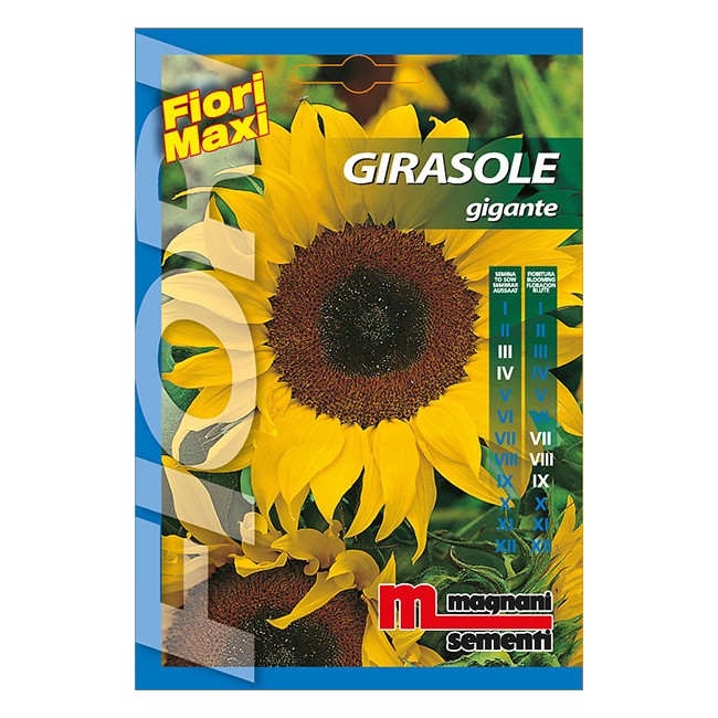 Semi di Girasole Gigante