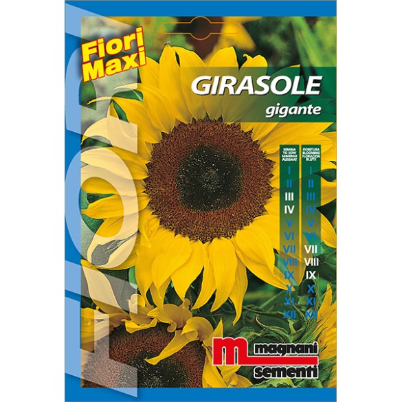Semi di Girasole Gigante