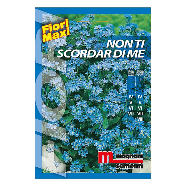 Semi di Non ti Scordar di Me