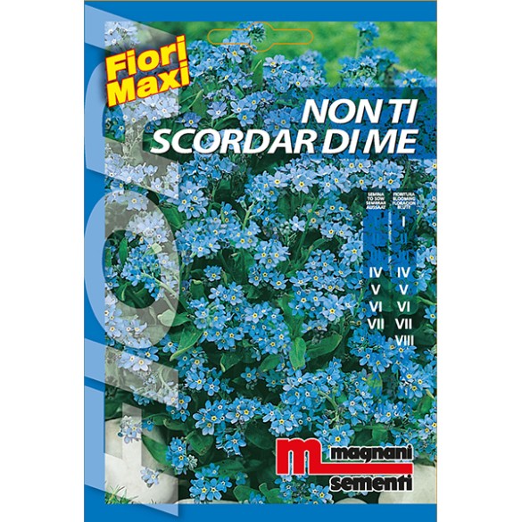 Semi di Non ti Scordar di Me