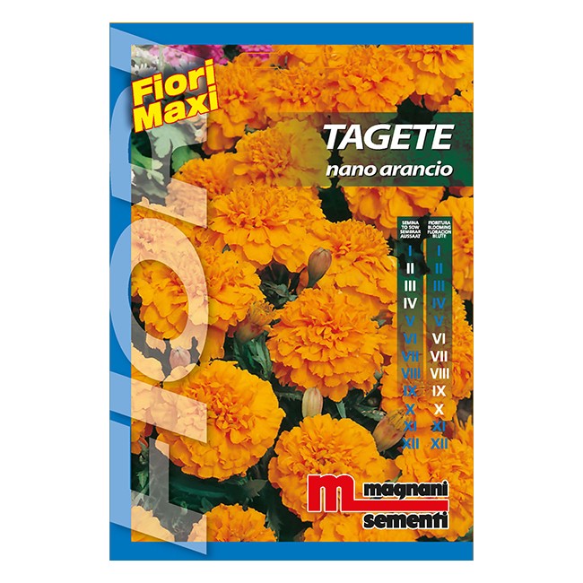 Semi di Tagete Nano Arancio