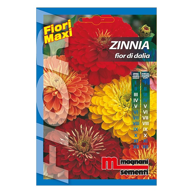 Semi di Zinnia Fior di Dalia