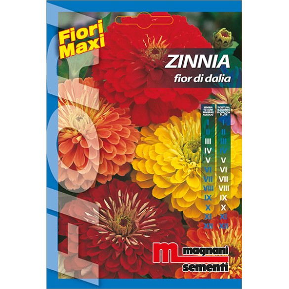 Semi di Zinnia Fior di Dalia