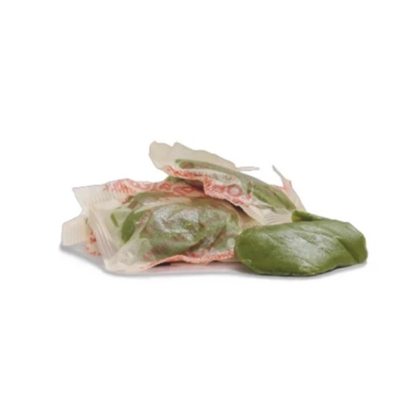 Topicida AGROMAYER esca in Pasta 1,5 KG