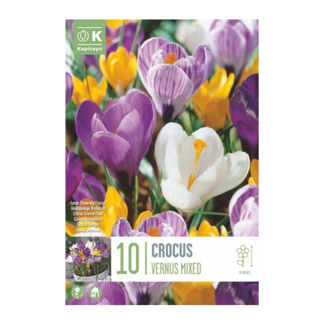 Bulbi di Crocus Mixed 10 pz Kapiteyn
