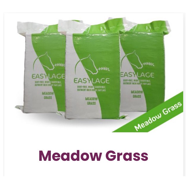 Fieno 20KG Medowgrass Easylage Prato...