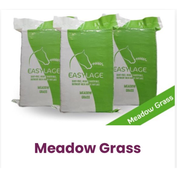 Pallet 15 pz Fieno 20KG Medowgrass Easylage Prato Polifita