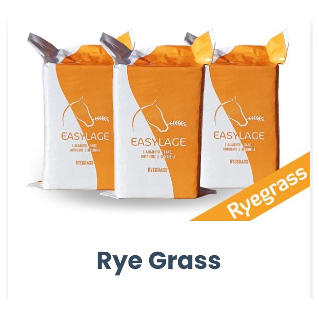 Fieno 20KG Ryegrass Easylage Loietto