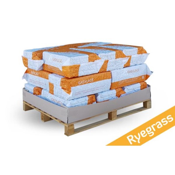 Pallet 15 pz Fieno 20KG Ryegrass Easylage Loietto