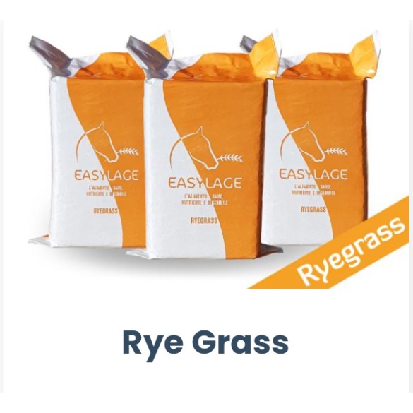 Pallet 30 pz Fieno 20KG Ryegrass Easylage Loietto