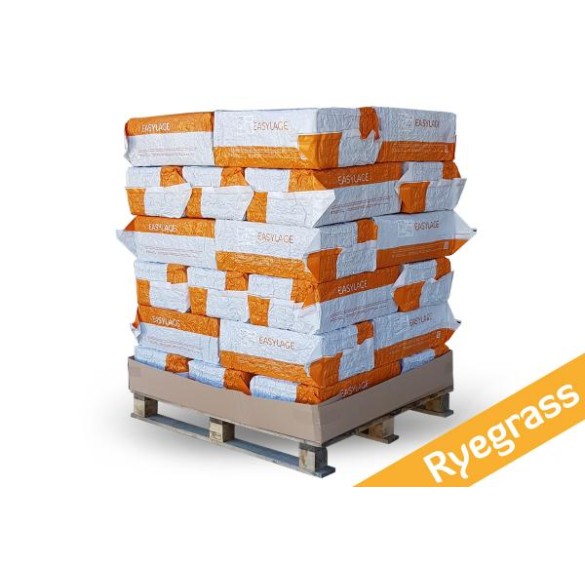 Pallet 30 pz Fieno 20KG Ryegrass Easylage Loietto