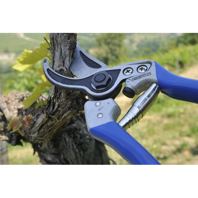A1 - Forbice Vigna Tradizionale  VESCO