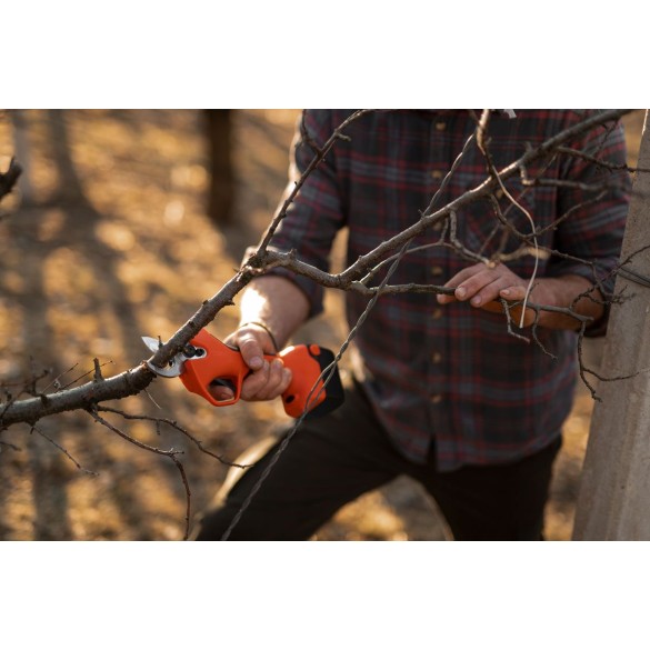 Kit Potatura Completo STOCKER