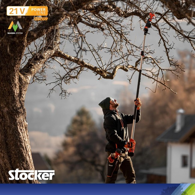 Kit Potatura Forbice Elettrica a...