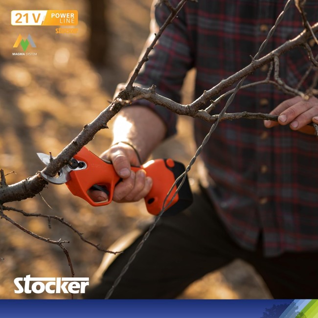 Kit Potatura Forbice Elettrica a...