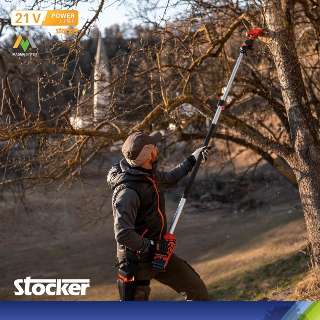 Kit Potatura Con Motosega 619 +...