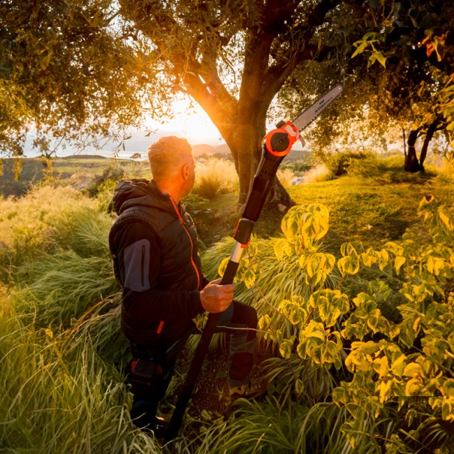 Kit Potatura Da Terra Con Potatore...