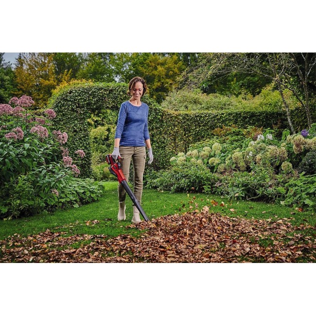 Soffiatore per Foglie a Batteria...