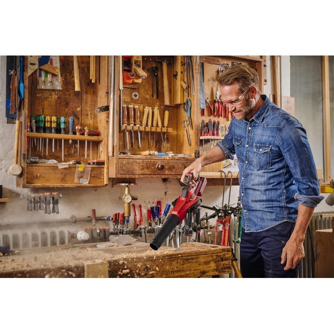 Soffiatore per Foglie a Batteria...