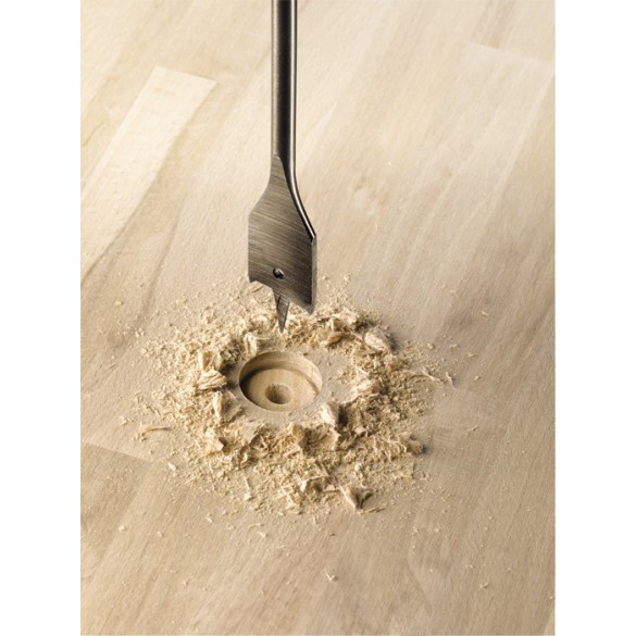 Mecchia Per Legno Profi 20mm KWB