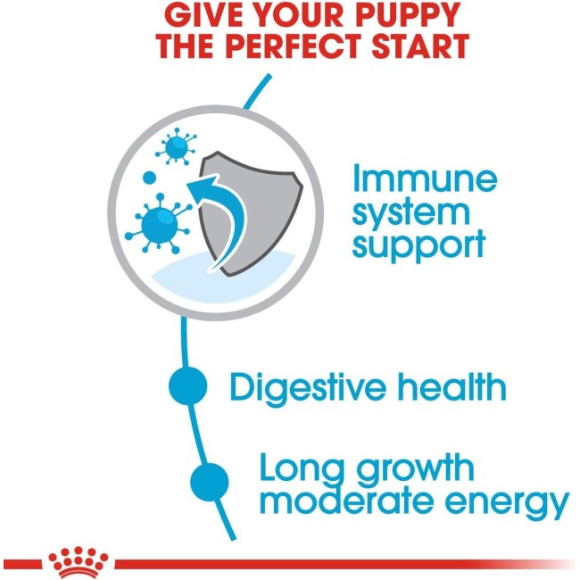 Crocchette Cane Maxi Puppy 15Kg Royal...