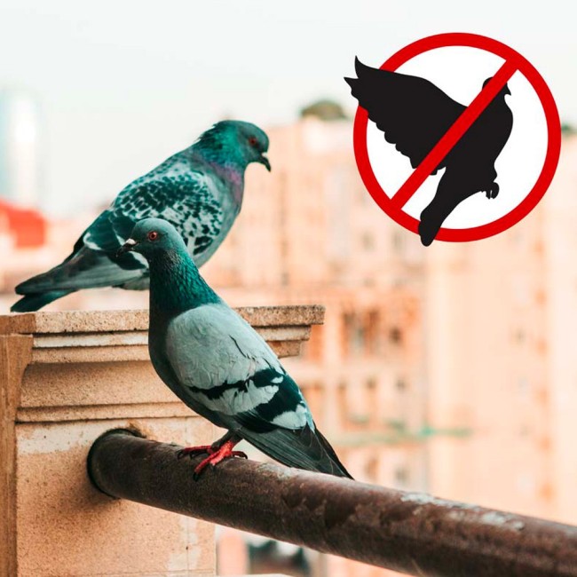 Impiccione Combi Scacciapiccioni a...