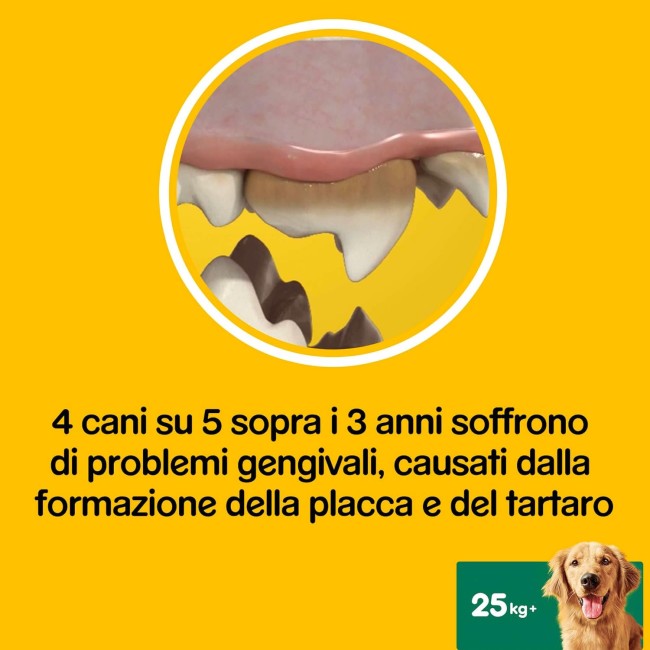 Dentastix Multipack Large +25KG 42pz...