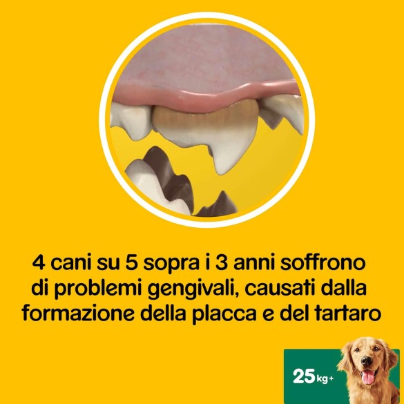 Dentastix Multipack Large +25KG 42pz Pedigree