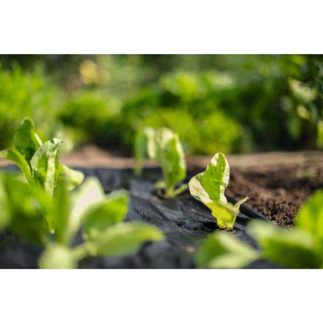 STOCKER Telo Per Pacciamatura...