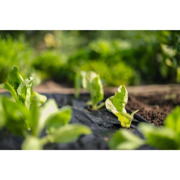 STOCKER Telo Per Pacciamatura Biodegradabile h1,40 x 100m Nero