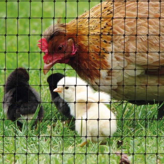 Rete Cintoflex D Tenax