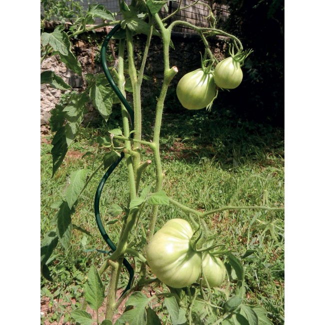 Tutore Sprial Up Plus H2,10m