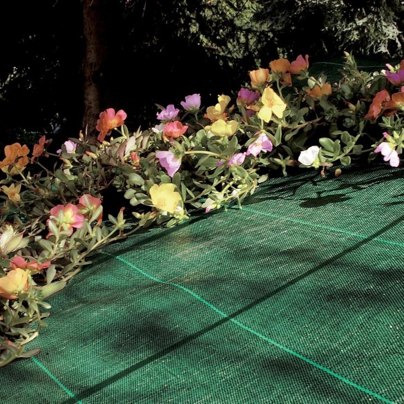 Telo Pacciamante Verde Cover Pro 5.25x100mt  Tenax