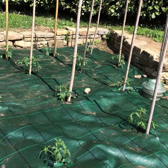 Telo Pacciamante Verde Cover Pro 5.25x100mt  Tenax