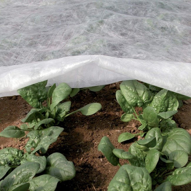 Telo Ortoclima Plus 2.4x 500 mt 30 gr...