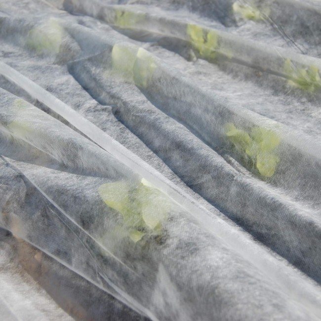 Telo Ortoclima Plus 2.4x 500 mt 30 gr...