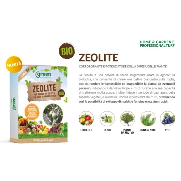 Zeolite1kg Green Ravenna
