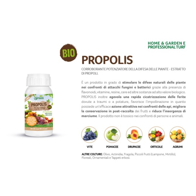 Estratto Propolis 1kg Green Ravenna