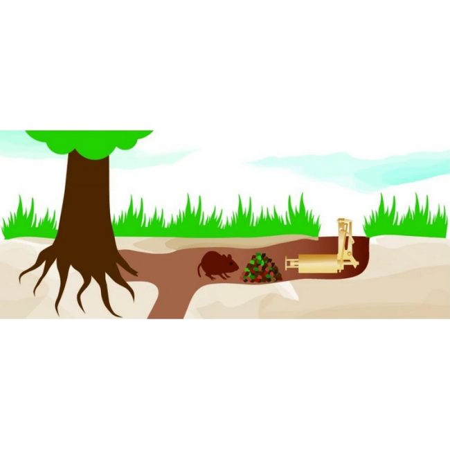 Pistola Per Talpe a Gas