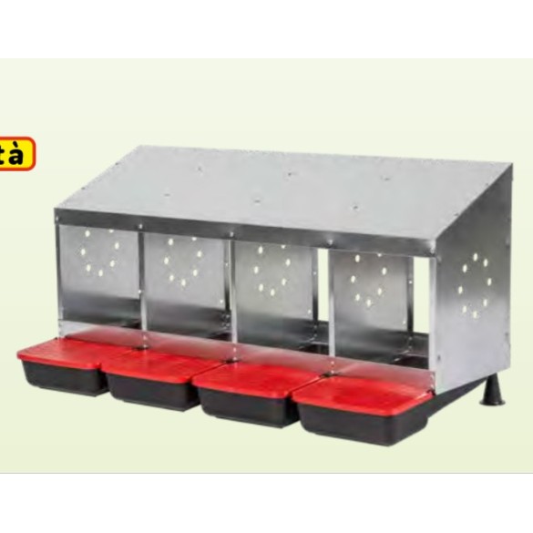 Nido 4 Fori Ovaiole Fondo Plastica Contro Fratelli