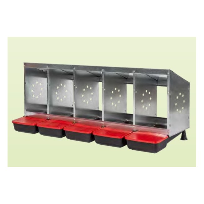 Nido 5 Fori Ovaiole Fondo Plastica...