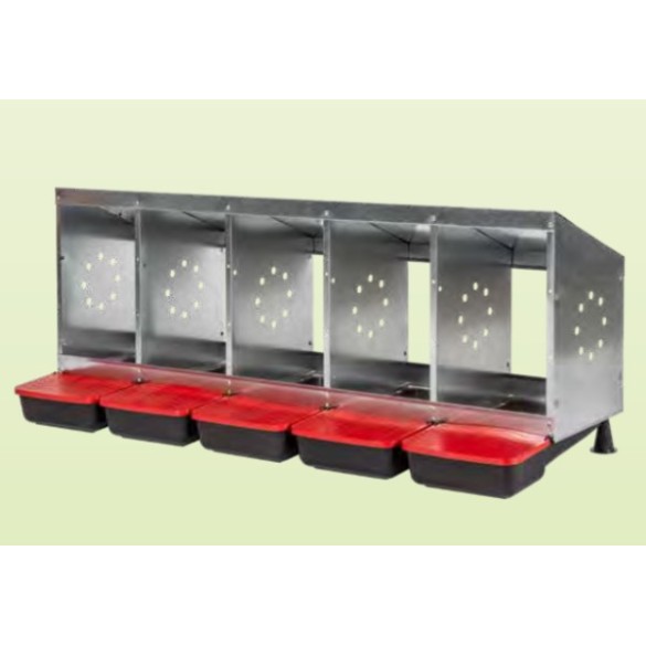 Nido 5 Fori Ovaiole Fondo Plastica Contro Fratelli